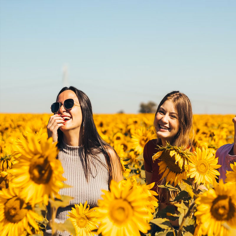 Comunicacion y marketing digtial en facebook e instagram